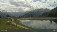 Archiv Foto Webcam Rauriser Hochalm 12:00