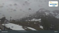 Archiv Foto Webcam Zauchensee - Gamskogelhütte 08:00