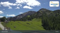 Archiv Foto Webcam Zauchensee - Gamskogelhütte 12:00