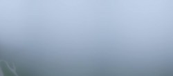 Archiv Foto Webcam Zwölferhorn im Salzkammergut 19:00