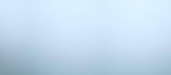 Archiv Foto Webcam Zwölferhorn im Salzkammergut 19:00