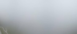 Archiv Foto Webcam Zwölferhorn im Salzkammergut 11:00
