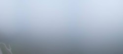 Archiv Foto Webcam Zwölferhorn im Salzkammergut 07:00