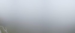 Archiv Foto Webcam Zwölferhorn im Salzkammergut 09:00