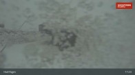 Archiv Foto Webcam Bergstation Waidoffenlift in Hochfügen 16:00