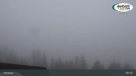 Archived image Webcam Karwendel Pertisau - Lake Achensee 08:00