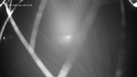 Archiv Foto Webcam Bergstation Venetbahn in Landeck 04:00