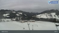 Archived image Webcam Roggenboden at Skijuwel Alpbachtal Wildschönau 08:00