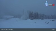 Archiv Foto Webcam Sicht auf das Kinderland an der Ehrwalder Alm 02:00