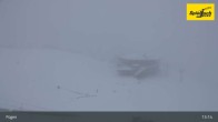 Archiv Foto Webcam Onkeljoch in Fügen 12:00