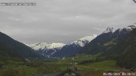 Archived image Webcam guesthouse "Traube", Pettneu 07:00