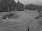 Archived image Webcam base station Muldenlift, alp Brunnalm/mount Hohe Veitsch 05:00