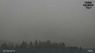 Archived image Webcam Tannheim: Mid sSation Neunerkoepfle 08:00