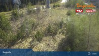 Archived image Webcam Chair Lift Steinboden, Alp Bergeralm 14:00