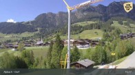 Archiv Foto Webcam Feilmoos 14:00