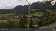 Archived image Webcam Feilmoos / Tyrol 08:00