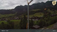 Archiv Foto Webcam Feilmoos 14:00