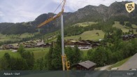 Archiv Foto Webcam Feilmoos 12:00