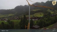 Archiv Foto Webcam Feilmoos 13:00