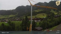Archiv Foto Webcam Feilmoos 14:00