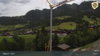Archiv Foto Webcam Feilmoos 12:00