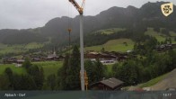 Archived image Webcam Feilmoos / Tyrol 12:00
