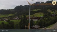 Archived image Webcam Feilmoos / Tyrol 16:00