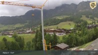 Archiv Foto Webcam Feilmoos 16:00
