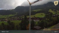 Archiv Foto Webcam Feilmoos 08:00