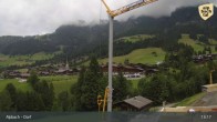 Archived image Webcam Feilmoos / Tyrol 12:00