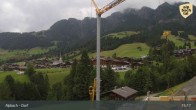 Archived image Webcam Feilmoos / Tyrol 14:00