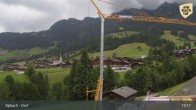 Archived image Webcam Feilmoos / Tyrol 18:00