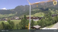 Archiv Foto Webcam Feilmoos 12:00