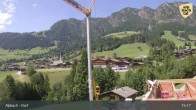 Archiv Foto Webcam Feilmoos 14:00