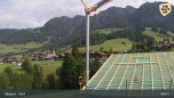 Archived image Webcam Feilmoos / Tyrol 08:00