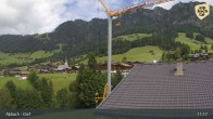Archiv Foto Webcam Feilmoos 10:00