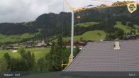 Archiv Foto Webcam Feilmoos 12:00
