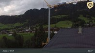 Archiv Foto Webcam Feilmoos 20:00