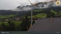 Archiv Foto Webcam Feilmoos 10:00
