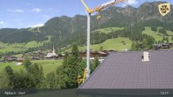 Archiv Foto Webcam Feilmoos 12:00