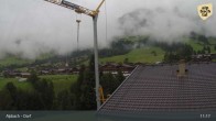 Archiv Foto Webcam Feilmoos 10:00