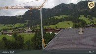 Archiv Foto Webcam Feilmoos 12:00