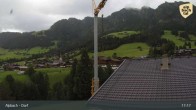 Archived image Webcam Feilmoos / Tyrol 16:00