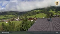 Archiv Foto Webcam Feilmoos 10:00