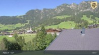 Archiv Foto Webcam Feilmoos 12:00