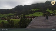 Archiv Foto Webcam Feilmoos 08:00
