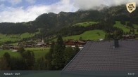 Archiv Foto Webcam Feilmoos 12:00