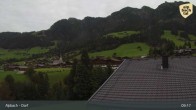 Archiv Foto Webcam Feilmoos 08:00
