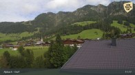 Archiv Foto Webcam Feilmoos 10:00