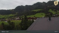 Archiv Foto Webcam Feilmoos 12:00